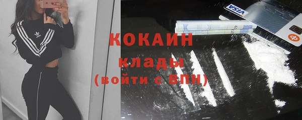 кокс Алексин