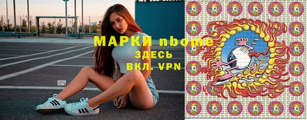 хмурый Алзамай