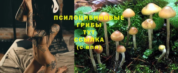 хмурый Алзамай