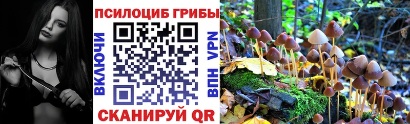 Галлюциногенные грибы мицелий  наркотики  Александровск 