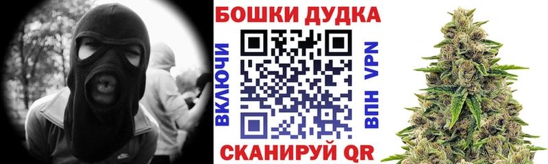 Бошки марихуана THC 21%  как найти наркотики  Александровск 